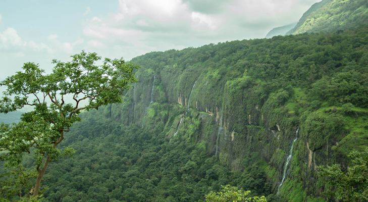 Bhimashankar Wildlife Sanctuary Top 5 Wildlife Sanctuaries in Maharashtra The Royale