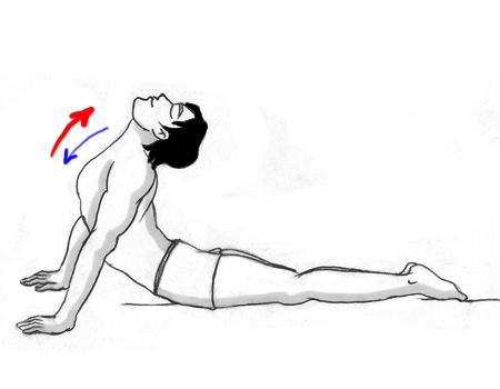 Bhujangasana Bhujangasana Cobra PoseSteps And Benefits Sarvyoga yoga online
