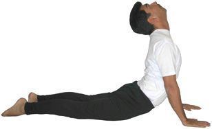 Bhujangasana Yoga Stretch Bhujangasana Full Snake Posture