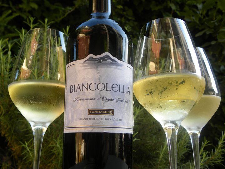 Biancolella Biancolella 2009 doc La Pietra di Tommasone Luciano Pignataro Wineblog