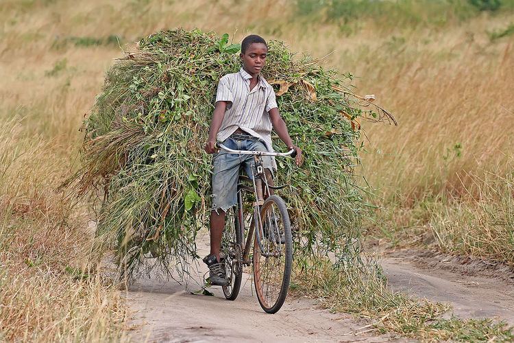 Bicycle poverty reduction