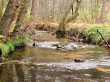 Biela (river) httpsuploadwikimediaorgwikipediacommonsthu