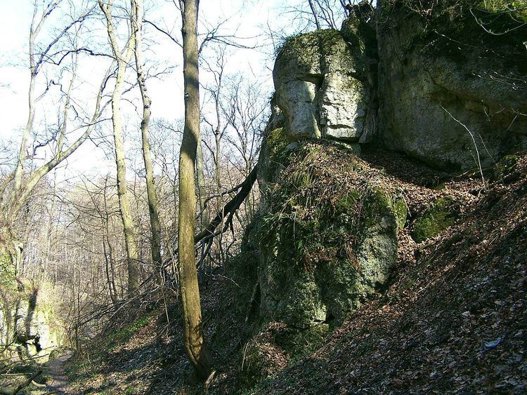 Bielany Tyniec Landscape Park - Alchetron, the free social encyclopedia