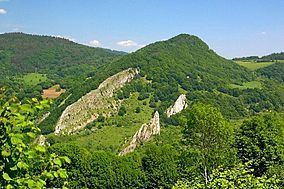 Biele Karpaty Protected Landscape Area httpsuploadwikimediaorgwikipediacommonsthu