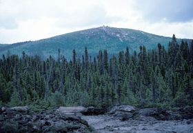 Big Bald Mountain (New Brunswick) httpsuploadwikimediaorgwikipediacommonsthu