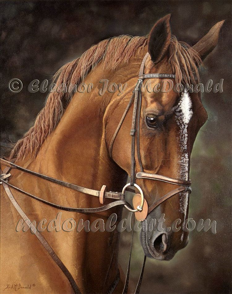 Big Ben (horse) BIG BEN One of Canada39s show jumping horses oil painting