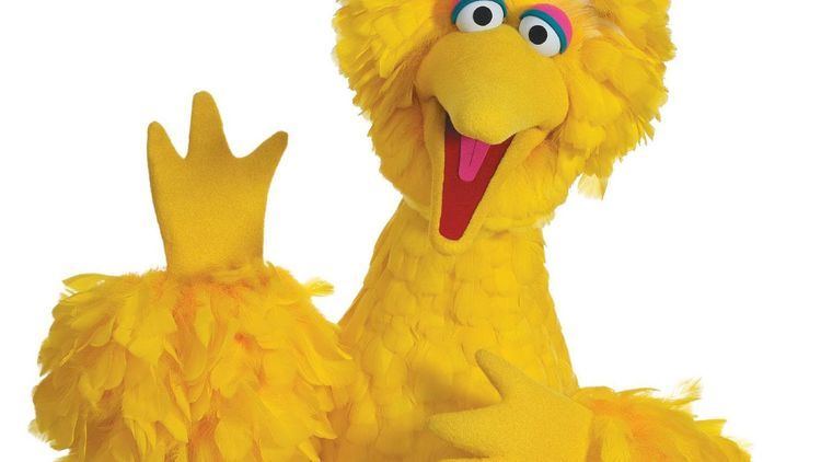 Big Bird Big Bird39s Twitter account just dropped the most spectacular first