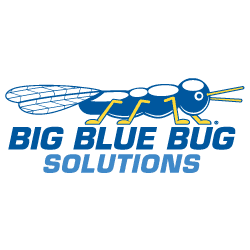 Big Blue Bug Solutions httpslh4googleusercontentcomSC1nZ9OIW1oAAA