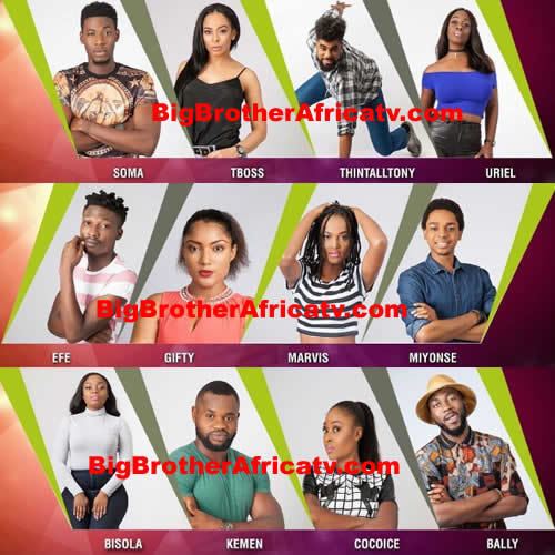 Big Brother Nigeria Big Brother Nigeria 2017 Big Brother Naija Contestants Housemates