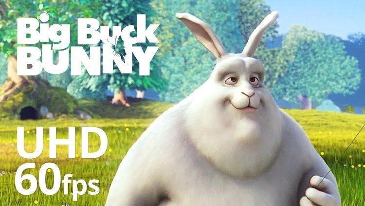 Big Buck Bunny Big Buck Bunny 60fps 4K Official Blender Foundation Short Film