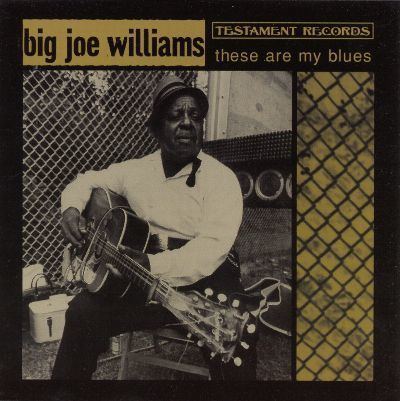 Big Joe Williams Big Joe Williams Biography Albums amp Streaming Radio