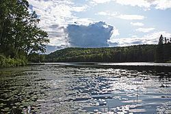 Big Mink Lake httpsuploadwikimediaorgwikipediacommonsthu
