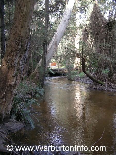 Big Pats Creek, Victoria httpswwwwarburtoninfocomuploads74423images