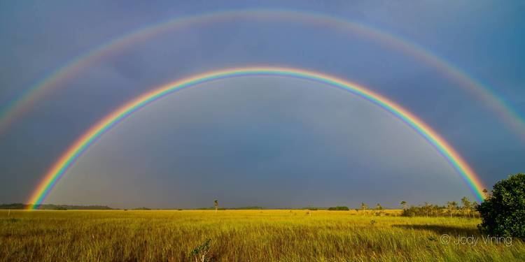 Big Rainbow Everglades Rainbow Imgur