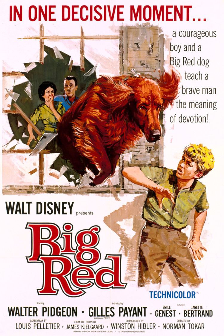 Big Red (film) wwwgstaticcomtvthumbmovieposters5387p5387p