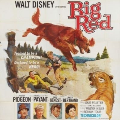 Big Red  Disney Movies