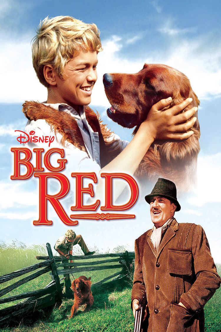 Big Red (film) Big Red Disney Movies