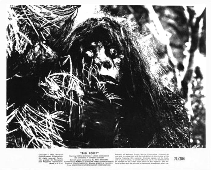 Bigfoot (1970 film) Bigfoot 1970 3B Theater Poster Archive