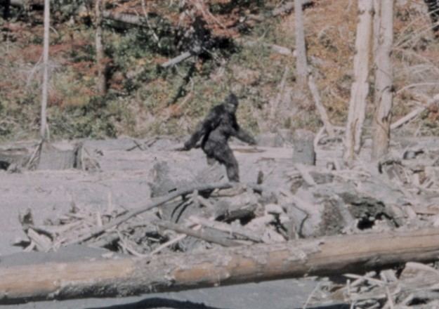 Bigfoot Bigfoot Missing link extradimensional entity or dude in a suit