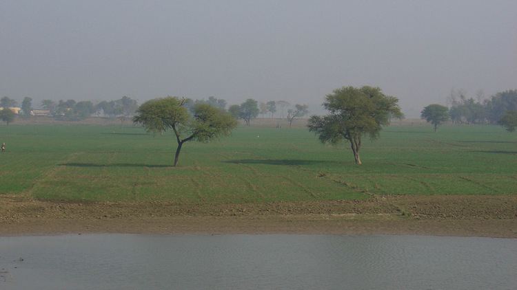 Bihar Beautiful Landscapes of Bihar