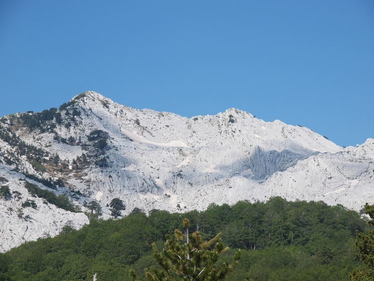 Bijela gora httpsuploadwikimediaorgwikipediacommonsbb