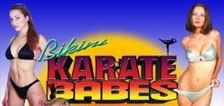 Bikini Karate Babes Bikini Karate Babes Wikipedia