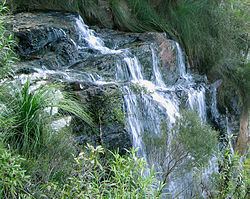 Bilbrough Falls httpsuploadwikimediaorgwikipediacommonsthu