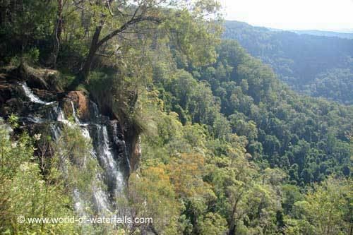 Bilbrough Falls Goomoolahra Falls Springbrook National Park Queensland Australia