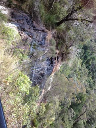 Bilbrough Falls The falls Picture of Goomoolahra Falls Springbrook TripAdvisor