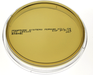 Bile esculin agar Bacteroides Bile Esculin Agar BBE ANAEROBE SYSTEMS