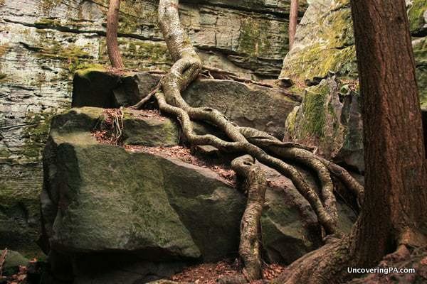 Bilger's Rocks UncoveringPA Visiting Bilger39s Rocks Pennsylvania39s Best Rock