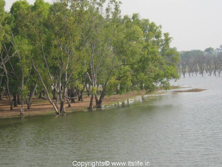 Biligiriranga Hills BR Hills Biligiriranga Betta Biligiriranga Hills Wildlife Sanctuary