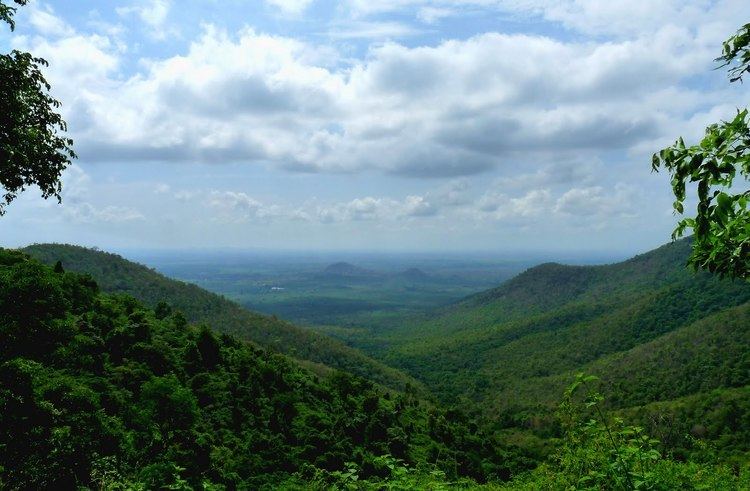 Biligiriranga Hills B R HILLS Reviews B R HILLS Tourist Places B R HILLS Tourist