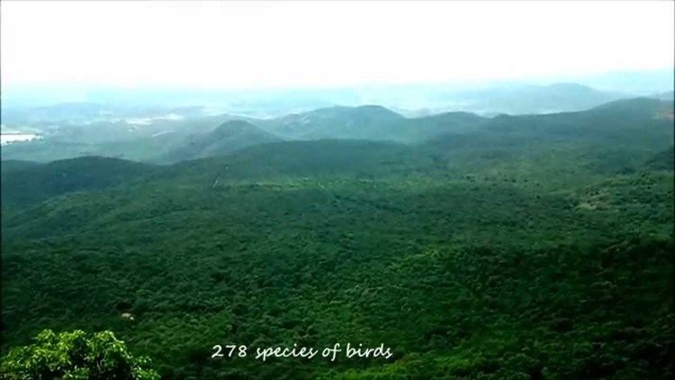 Biligiriranga Hills BR Hills in 2 Minutes YouTube