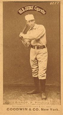 Bill Bishop (1880s pitcher)