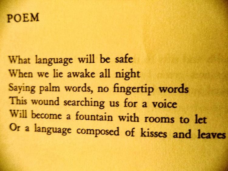 Bill Knott (poet) spokensong The Naomi Poems by Saint Geraud aka bill knott
