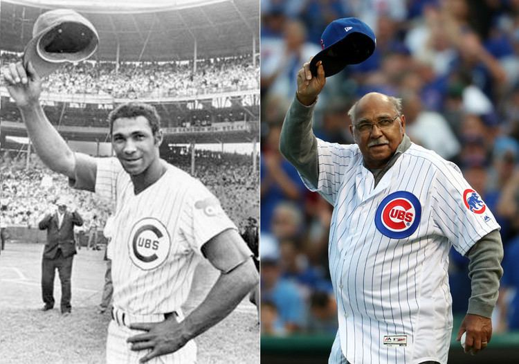 Billy Williams (left fielder) Cubs Billy Williams photos Chicago Tribune