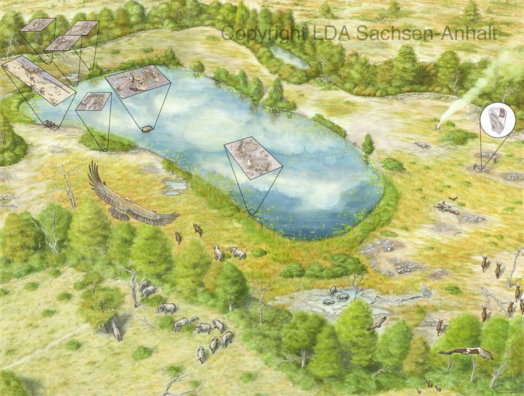 Bilzingsleben (Paleolithic site) Paleolithic period Landesamt fr Denkmalpflege und Archologie