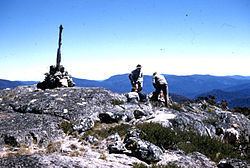 Bimberi Peak httpsuploadwikimediaorgwikipediacommonsthu