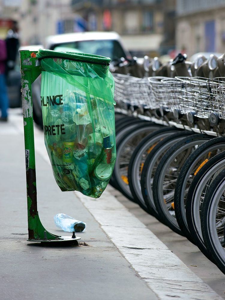 Bin bag