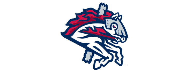 Binghamton Rumble Ponies Binghamton Rumble Ponies Official Store