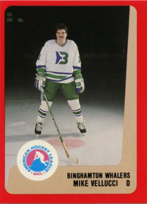 Binghamton Whalers Binghamton Whalers 198889 Hockey Card Checklist at hockeydbcom