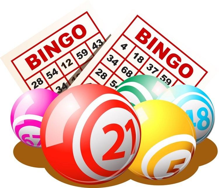 Bingo (U.S.) wwwsouthelginlionscomwpcontentuploads201512