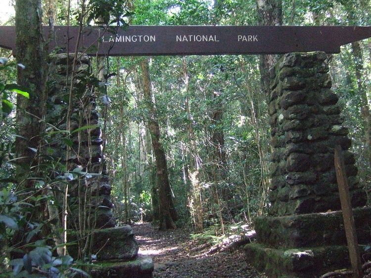 Binna Burra Best Walking Tracks of Binna Burra Lamington National Park