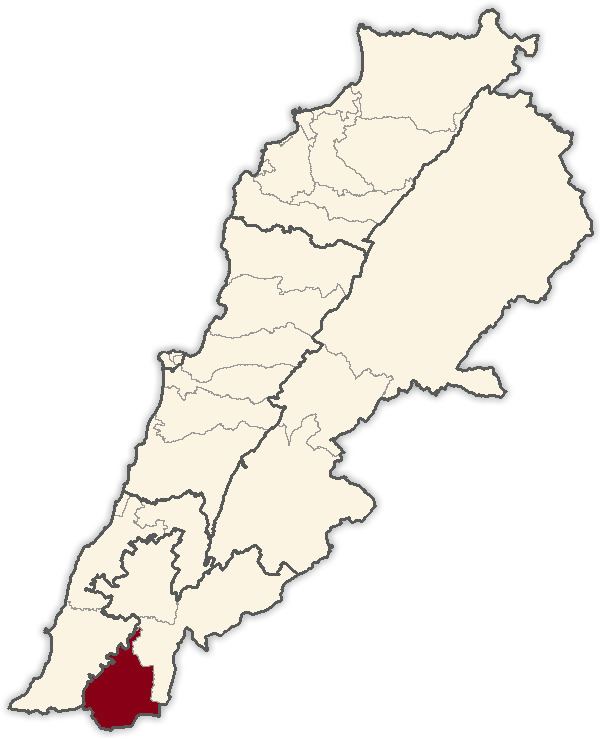 Bint Jbeil electoral district