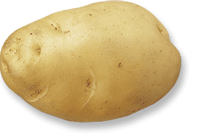 Bintje Bintje Triskalia Seed potatoes