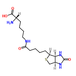 Biocytin Biocytin C16H28N4O4S ChemSpider