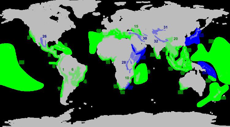 Biodiversity hotspot