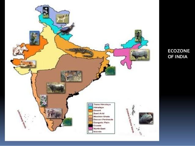 Biogeographic classification of India biogeographical classification