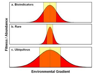 Bioindicator Bioindicators Using Organisms to Measure Environmental Impacts